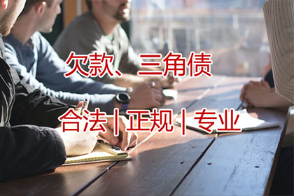 法院如何执行债务偿还？